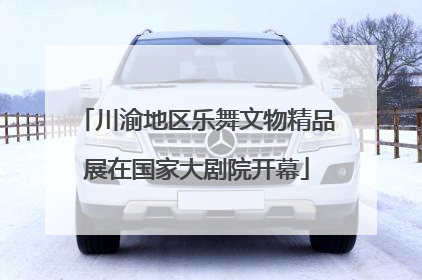 川渝地区乐舞文物精品展在国家大剧院开幕