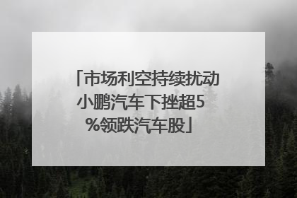 市场利空持续扰动 小鹏汽车下挫超5%领跌汽车股