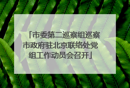 市委第二巡察组巡察市政府驻北京联络处党组工作动员会召开