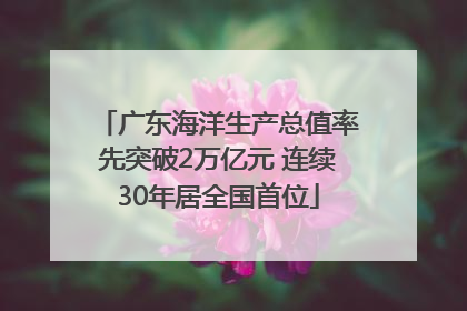 广东海洋生产总值率先突破2万亿元 连续30年居全国首位