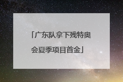 广东队拿下残特奥会夏季项目首金