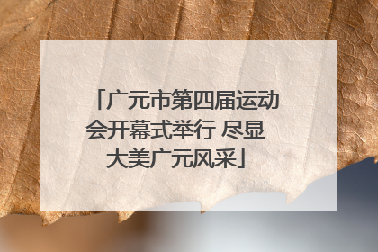 广元市第四届运动会开幕式举行 尽显大美广元风采