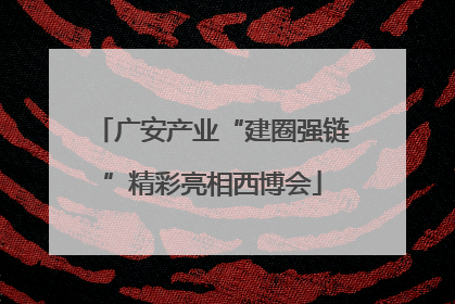 广安产业“建圈强链”精彩亮相西博会