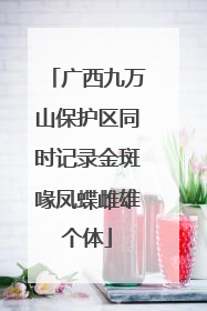 广西九万山保护区同时记录金斑喙凤蝶雌雄个体