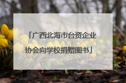 广西北海市台资企业协会向学校捐赠图书