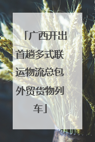 广西开出首趟多式联运物流总包外贸货物列车
