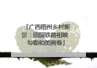 广西梧州乡村新景：田园铁路相映 勾勒和美画卷