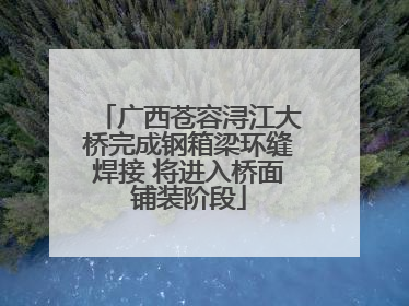 广西苍容浔江大桥完成钢箱梁环缝焊接 将进入桥面铺装阶段