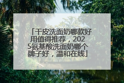 干皮洗面奶哪款好用值得推荐，2025氨基酸洗面奶哪个牌子好，温和在线