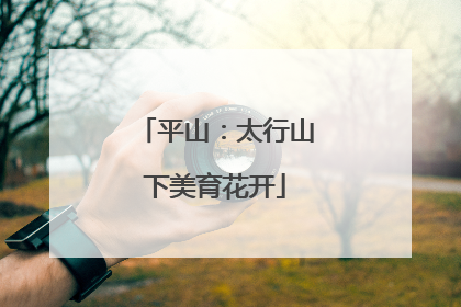 平山：太行山下美育花开