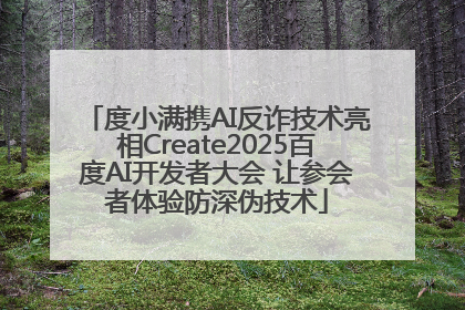 度小满携AI反诈技术亮相Create2025百度AI开发者大会 让参会者体验防深伪技术