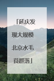 延庆发现大规模北京水毛茛群落