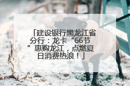 建设银行黑龙江省分行：龙卡“66节”惠购龙江，点燃夏日消费热浪！