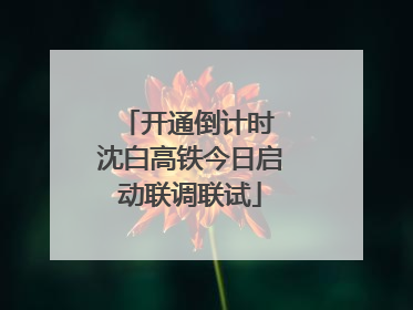 开通倒计时 沈白高铁今日启动联调联试