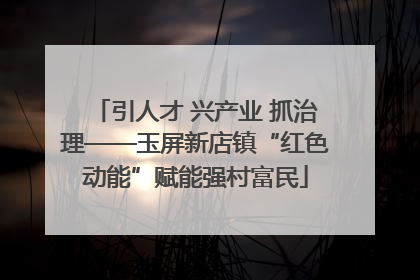 引人才 兴产业 抓治理——玉屏新店镇“红色动能”赋能强村富民