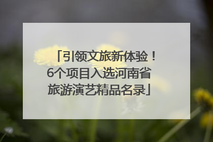 引领文旅新体验！6个项目入选河南省旅游演艺精品名录