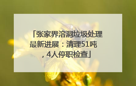 张家界溶洞垃圾处理最新进展：清理51吨，4人停职检查