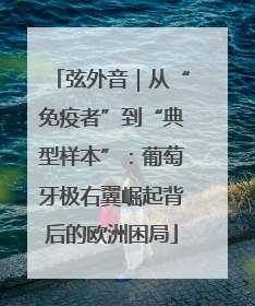 弦外音｜从“免疫者”到“典型样本”：葡萄牙极右翼崛起背后的欧洲困局