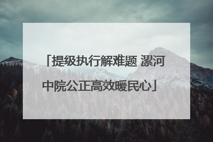 提级执行解难题 漯河中院公正高效暖民心