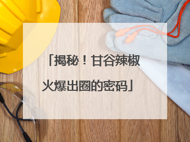 揭秘！甘谷辣椒火爆出圈的密码