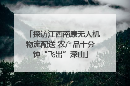 探访江西南康无人机物流配送 农产品十分钟“飞出”深山