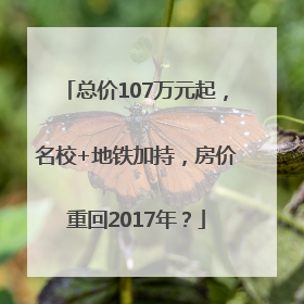 总价107万元起，名校+地铁加持，房价重回2017年？