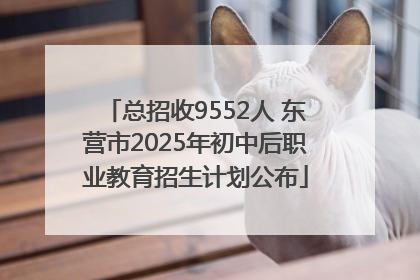 总招收9552人 东营市2025年初中后职业教育招生计划公布