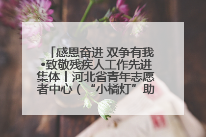 感恩奋进 双争有我•致敬残疾人工作先进集体丨河北省青年志愿者中心（“小橘灯”助残接力计划实施团队）：用温暖陪伴，守护特殊孩子成长