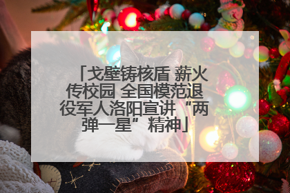 戈壁铸核盾 薪火传校园 全国模范退役军人洛阳宣讲“两弹一星”精神