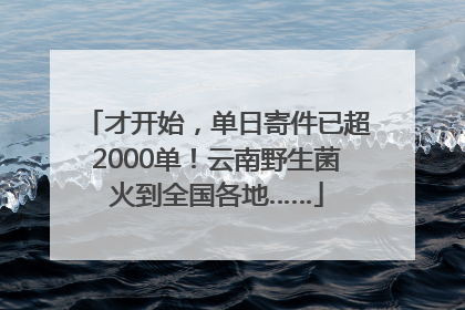 才开始，单日寄件已超2000单！云南野生菌火到全国各地……