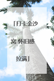 打卡金沙窝 怀旧感拉满