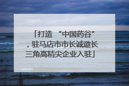 打造 “中国药谷”，驻马店市市长诚邀长三角高精尖企业入驻