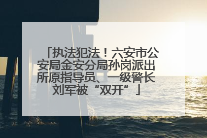 执法犯法！六安市公安局金安分局孙岗派出所原指导员、一级警长刘军被“双开”
