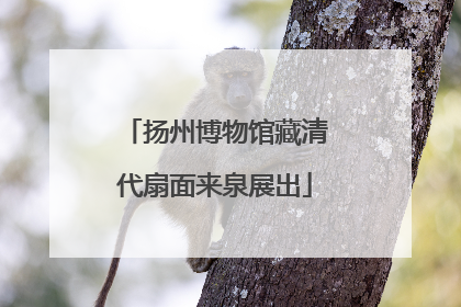 扬州博物馆藏清代扇面来泉展出