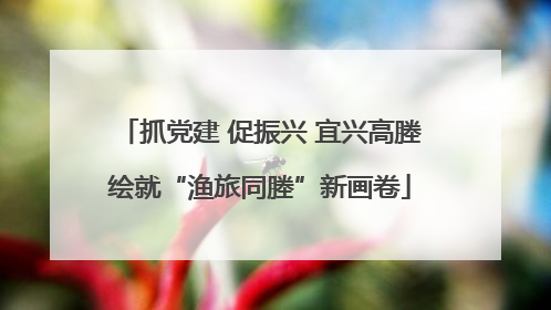 抓党建 促振兴 宜兴高塍绘就“渔旅同塍”新画卷