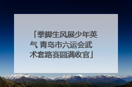 拳脚生风展少年英气 青岛市六运会武术套路赛圆满收官