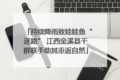 持续降雨致娃娃鱼“迷路” 江西金溪县干群联手助其重返自然