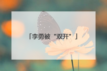 李勇被“双开”