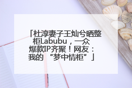 杜淳妻子王灿兮晒整柜Labubu，一众爆款IP齐聚！网友：我的 “梦中情柜”