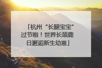 杭州“长腿宝宝”过节啦！世界长颈鹿日邂逅新生幼崽