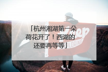 杭州湘湖第一朵荷花开了！西湖的还要再等等
