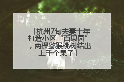 杭州7旬夫妻十年打造小区“百果园”，两棵猕猴桃树结出上千个果子
