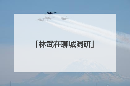 林武在聊城调研