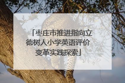枣庄市推进指向立德树人小学英语评价变革实践探索