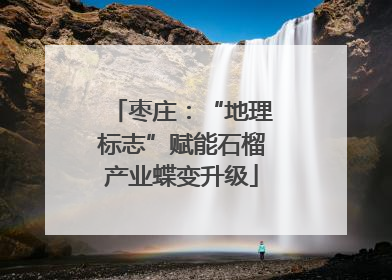 枣庄：“地理标志”赋能石榴产业蝶变升级