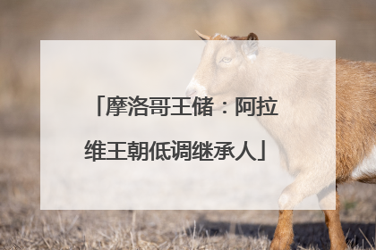 摩洛哥王储：阿拉维王朝低调继承人