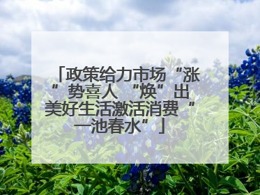 政策给力市场“涨”势喜人 “焕”出美好生活激活消费“一池春水”