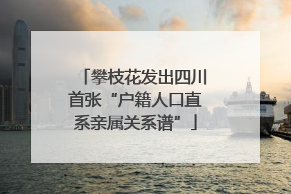 攀枝花发出四川首张“户籍人口直系亲属关系谱”