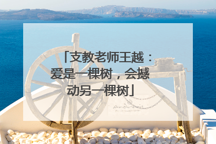 支教老师王越：爱是一棵树，会撼动另一棵树
