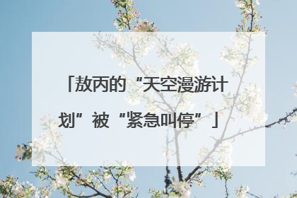 敖丙的“天空漫游计划”被“紧急叫停”